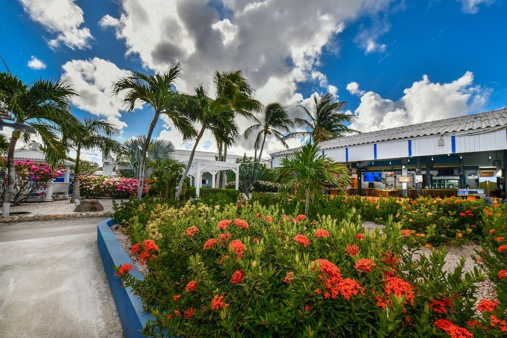 Aruba Blue Village Hotel And Apartments Palm Beach Exterior foto